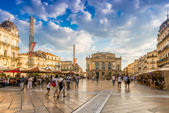 Montpellier Front